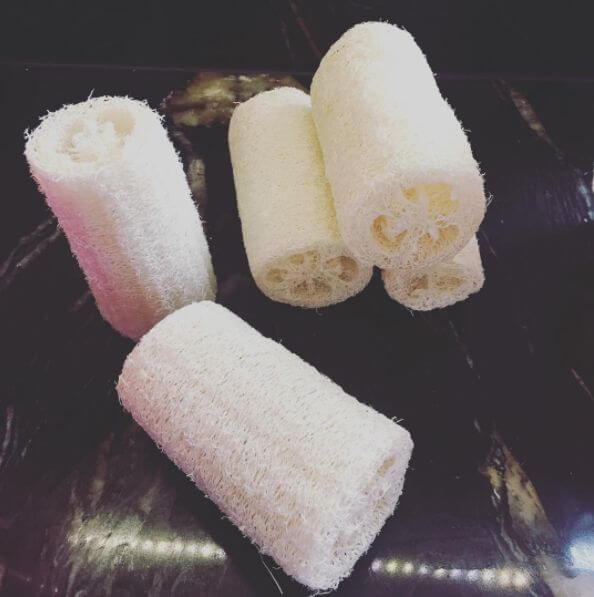 Loofah