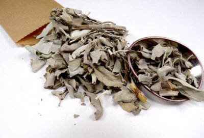 feuille de sauge