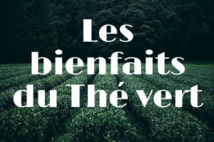 Thé vert & bienfait