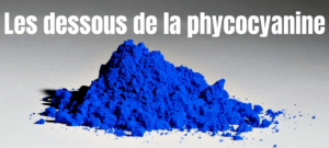 Phycocyanine bienfaits