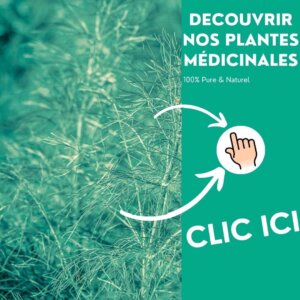 nos plantes médicinales