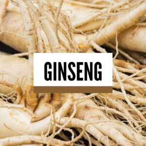 ginseng