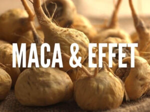 Maca & effet