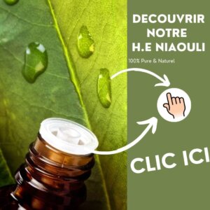 huile essentielle niaouli