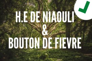huile essentielle de Niaouli & bouton de fievre
