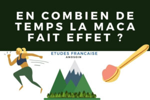 maca effet au bout de combien de temps