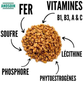 vitamine fenugrec