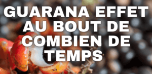 guarana effet au bout de combien de temps