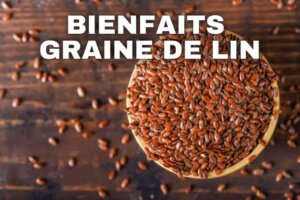bienfaits graine de lin