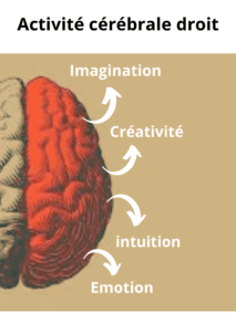 Douleurs derrière la tête droit