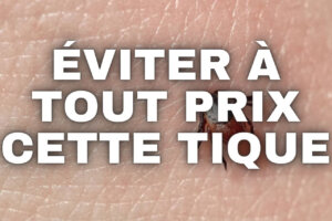 Maladie de lyme 46 symptômes