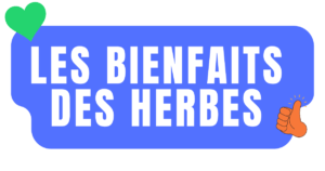 Quels sont les bienfaits des herbes sur notre corps ?