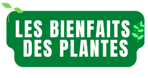 Les bienfaits des plantes