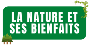 Tout connaître sur la nature et ses bienfaits