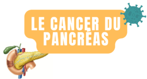 Le cancer du pancréas