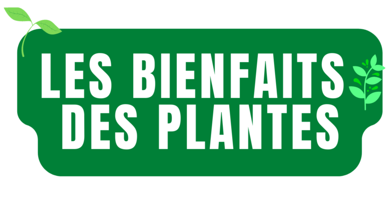 Les bienfaits des plantes