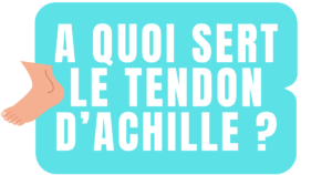 A quoi sert le tendon d’Achille ?