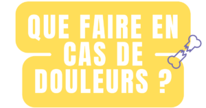 Que faire en cas de douleurs au tendon d’Achille ?