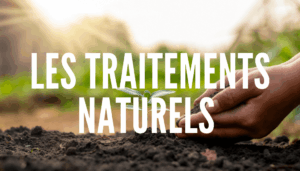 Les traitements naturels 
