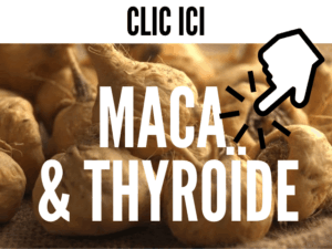 maca thyroïde