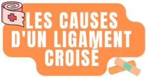 cause ligament croisé
