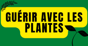 guérir de la fatigue et de la somnolence chronique avec les plantes