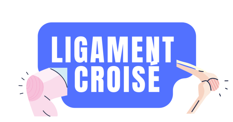 ligament croisé