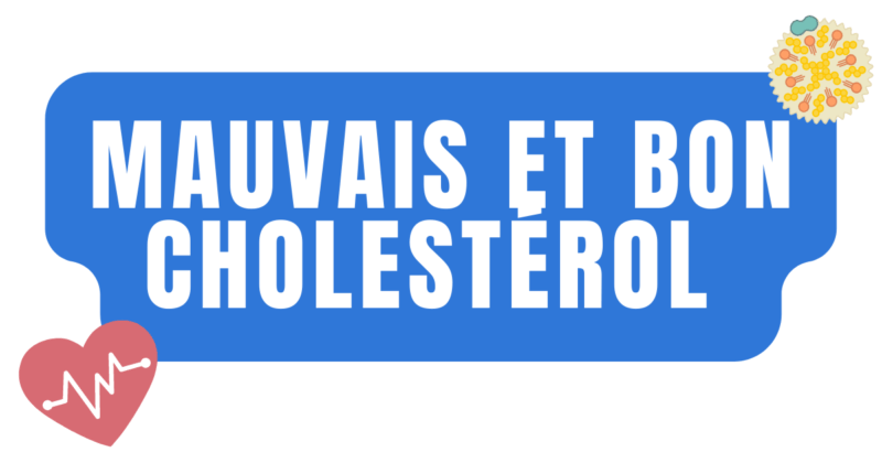 Mauvais et bon cholestérol