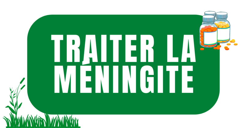 traiter la meningite