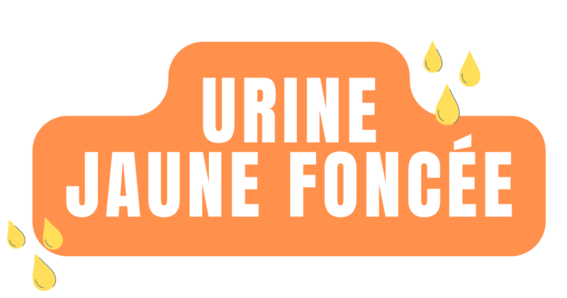 urine jaune fonce
