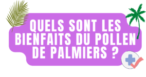 Quels sont les bienfaits du Pollen de palmiers ?