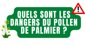 Quels sont les dangers du pollen de palmier ?
