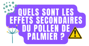 Quels sont les effets secondaires du pollen de palmier ?