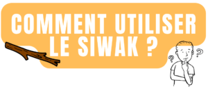 Comment utiliser le siwak ?