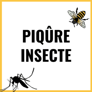 piqure insecte