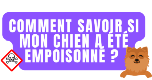 comment savoir si mon chien a été empoisonné
