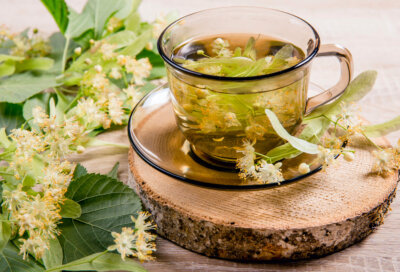 Feuille de tilleul séchée