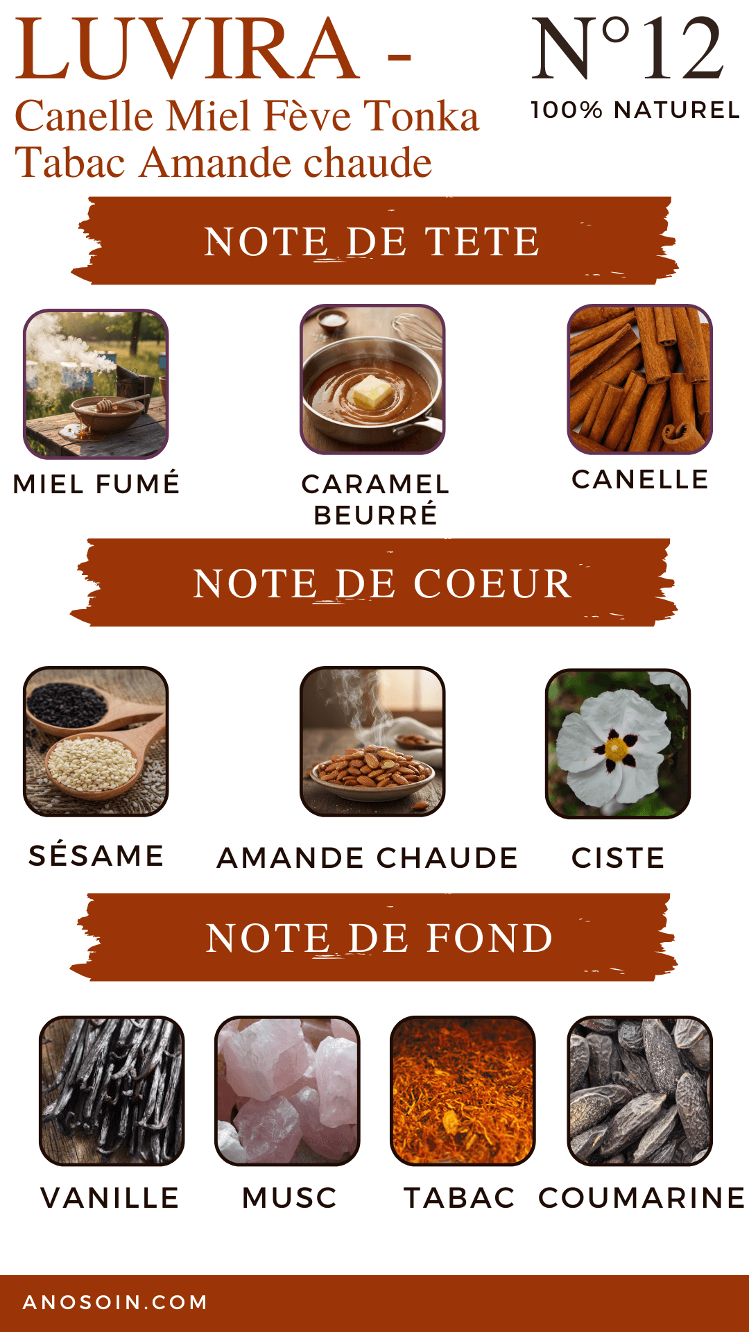 N°12 LUVIRA - Miel Cannelle Tabac Fève Tonka – Image 2